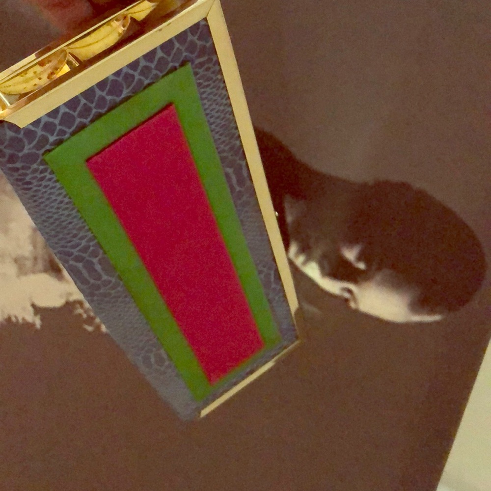 Color Block Clutch with Python Detail